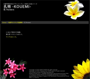 「孔明 -KOUMEI- 花 flowers」サンプル